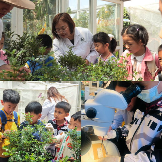 电子游戏app下载安装