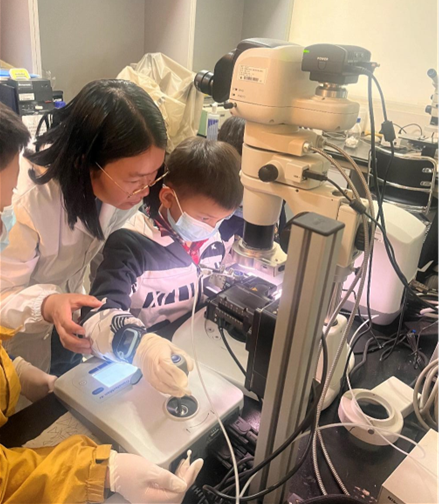 电子游戏app下载安装