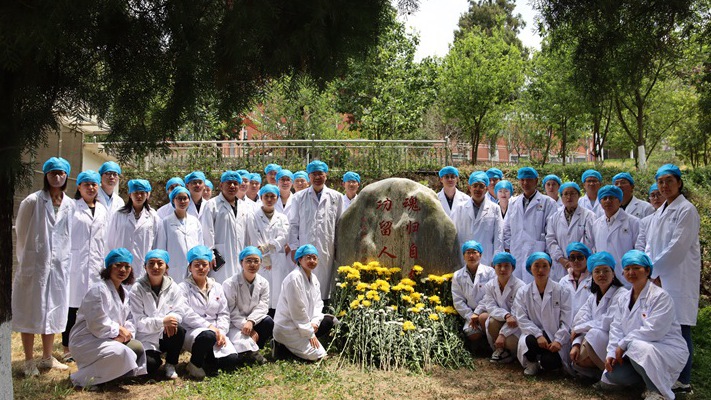 电子游戏app下载安装