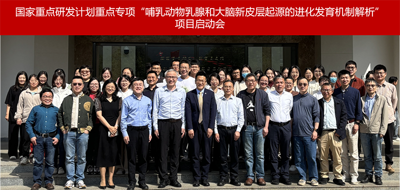 电子游戏app下载安装