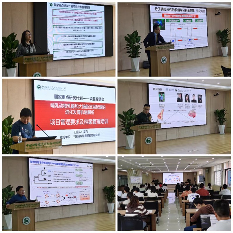 电子游戏app下载安装