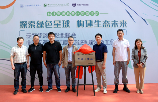 电子游戏app下载安装