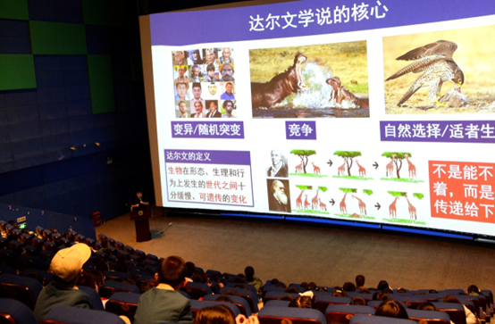 电子游戏app下载安装