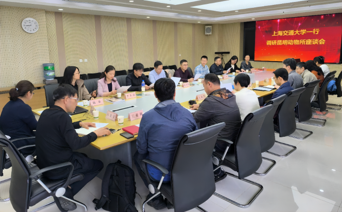 电子游戏app下载安装