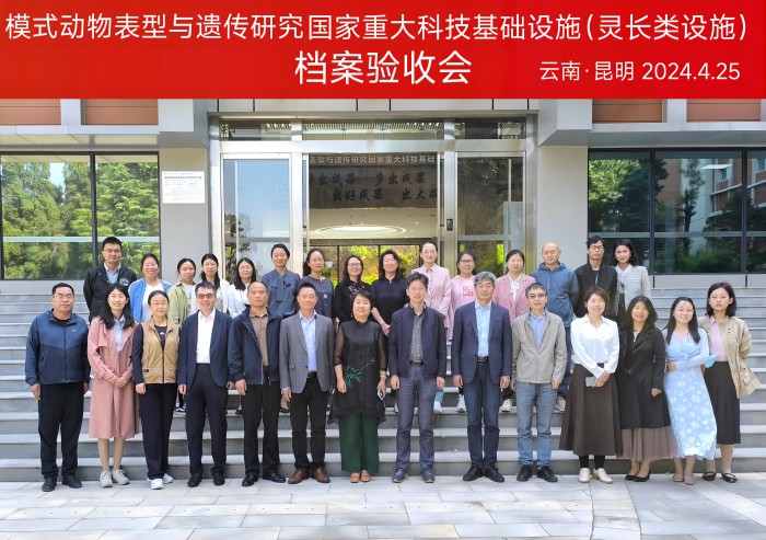 电子游戏app下载安装