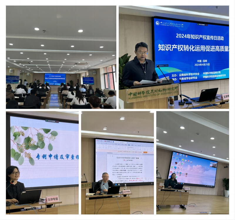 电子游戏app下载安装