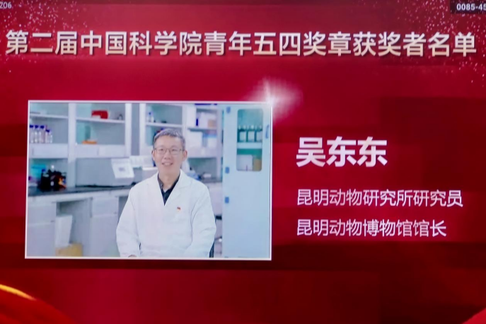 电子游戏app下载安装