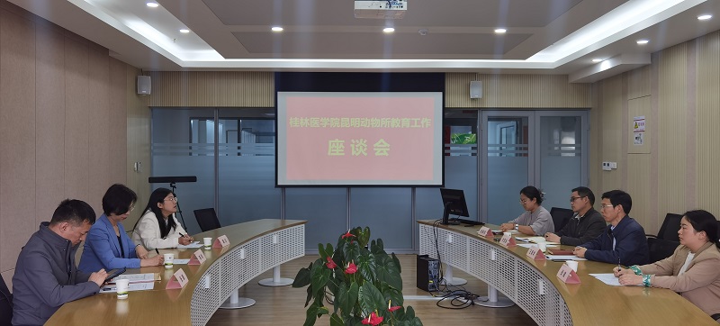 电子游戏app下载安装