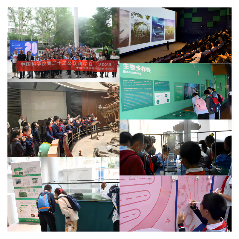 电子游戏app下载安装