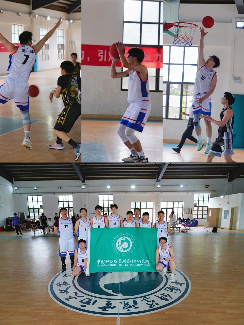 电子游戏app下载安装