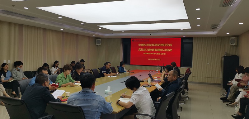 电子游戏app下载安装