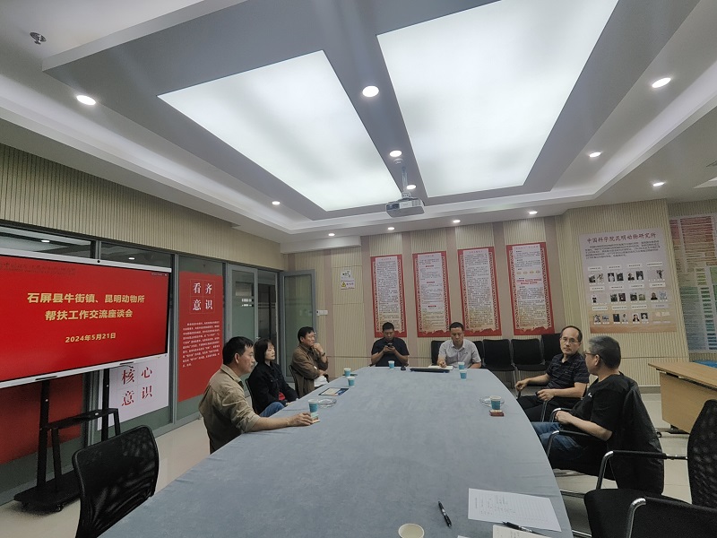 电子游戏app下载安装