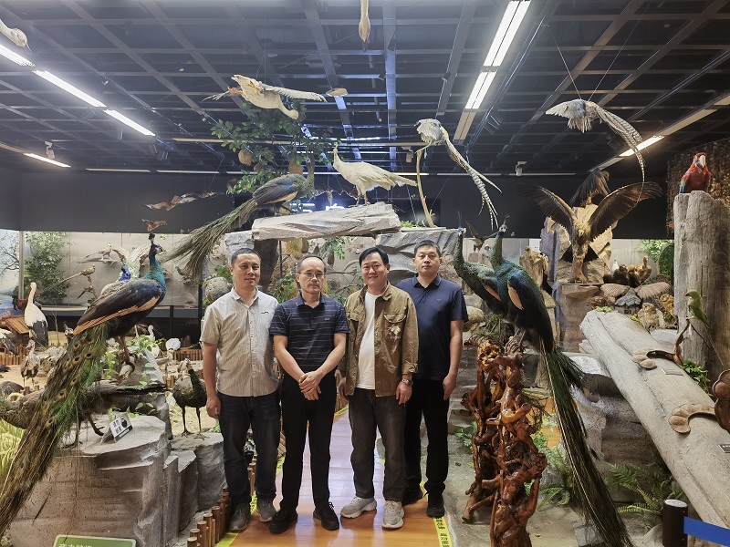 电子游戏app下载安装