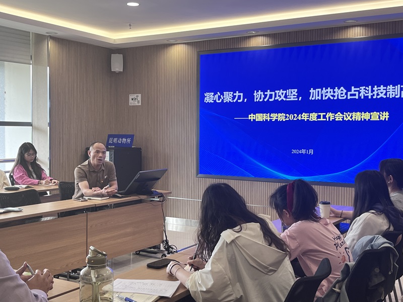 电子游戏app下载安装