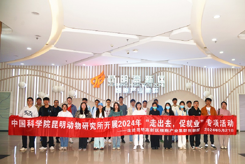 电子游戏app下载安装