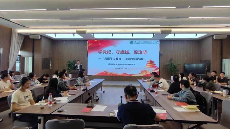 电子游戏app下载安装