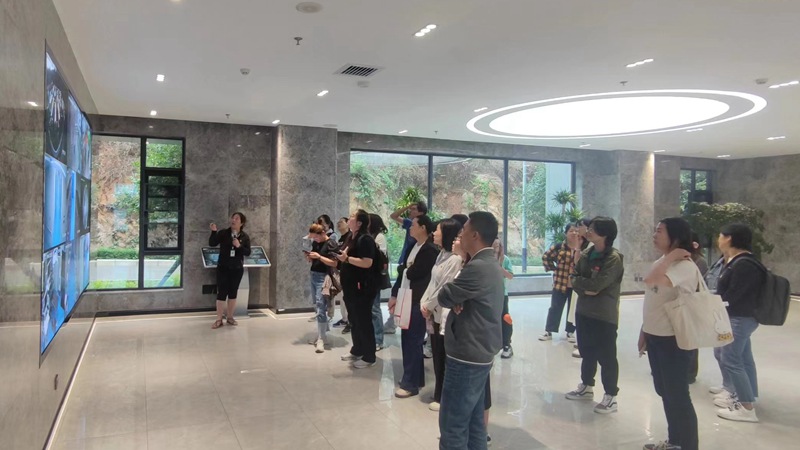 电子游戏app下载安装