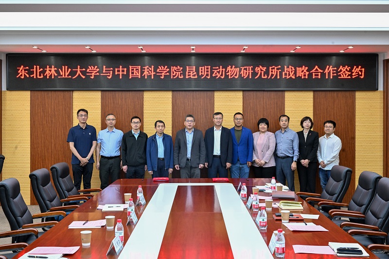 电子游戏app下载安装