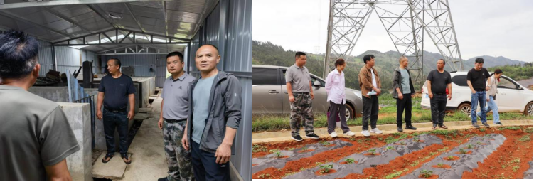 电子游戏app下载安装