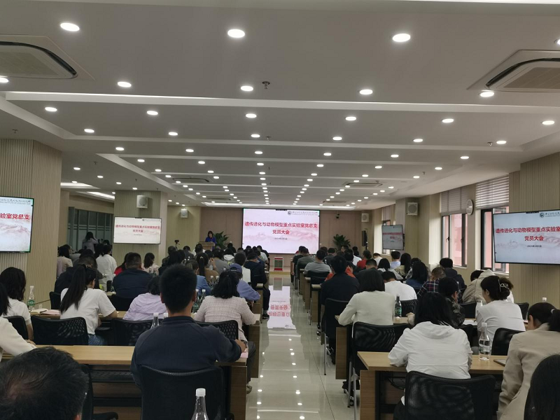 电子游戏app下载安装