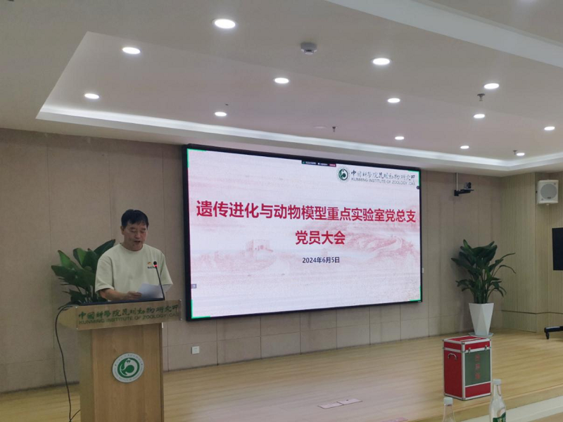 电子游戏app下载安装