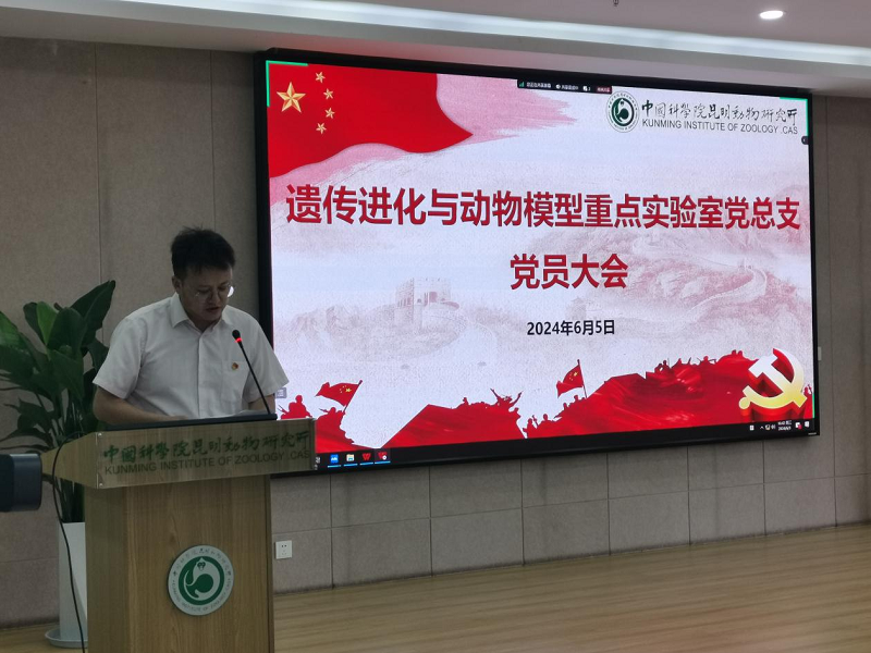 电子游戏app下载安装