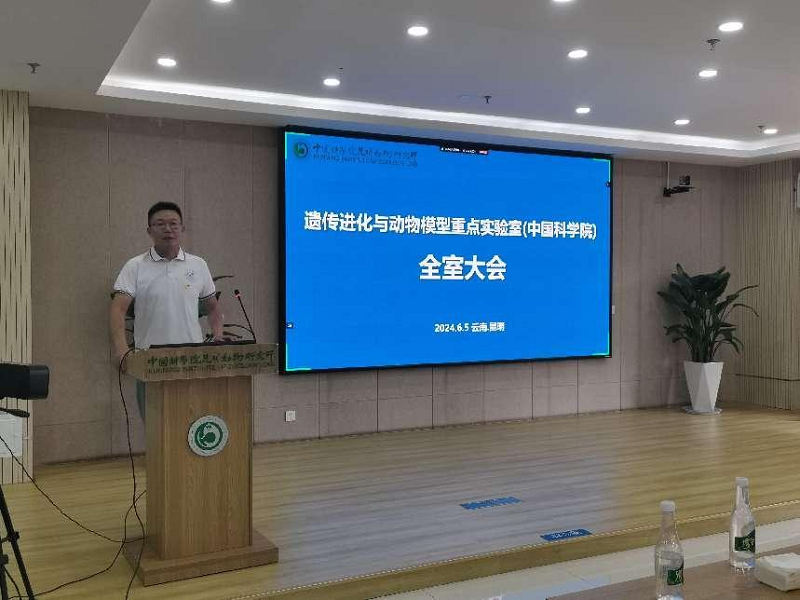 电子游戏app下载安装