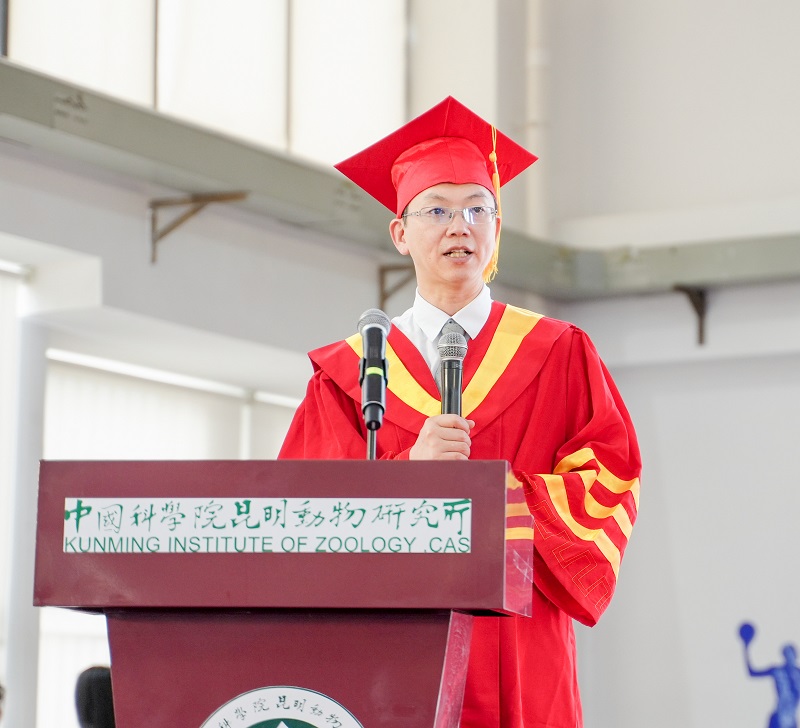 电子游戏app下载安装