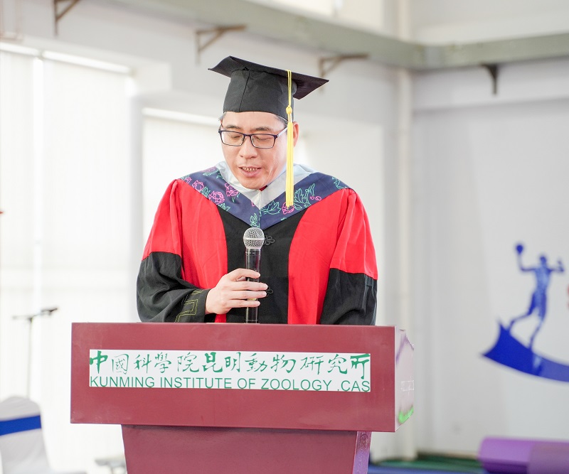 电子游戏app下载安装