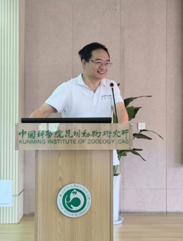 电子游戏app下载安装