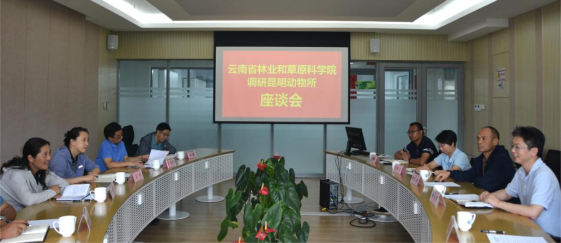 电子游戏app下载安装