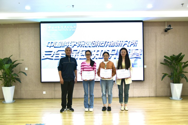 电子游戏app下载安装