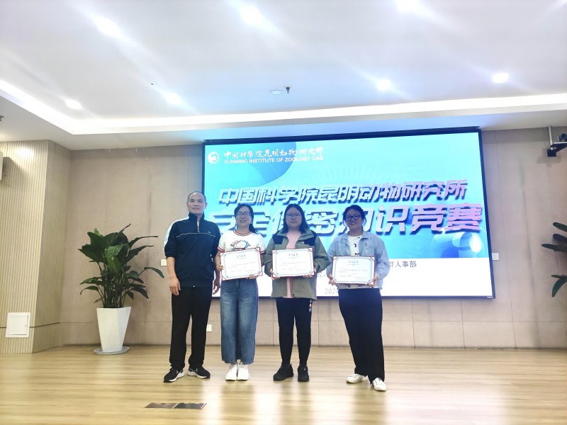 电子游戏app下载安装