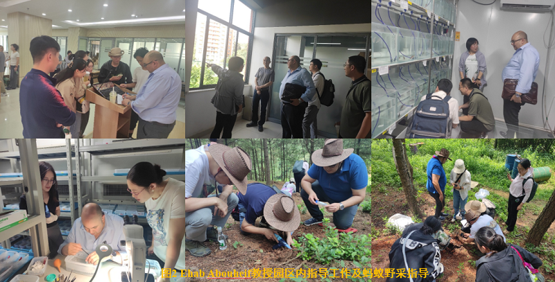 电子游戏app下载安装