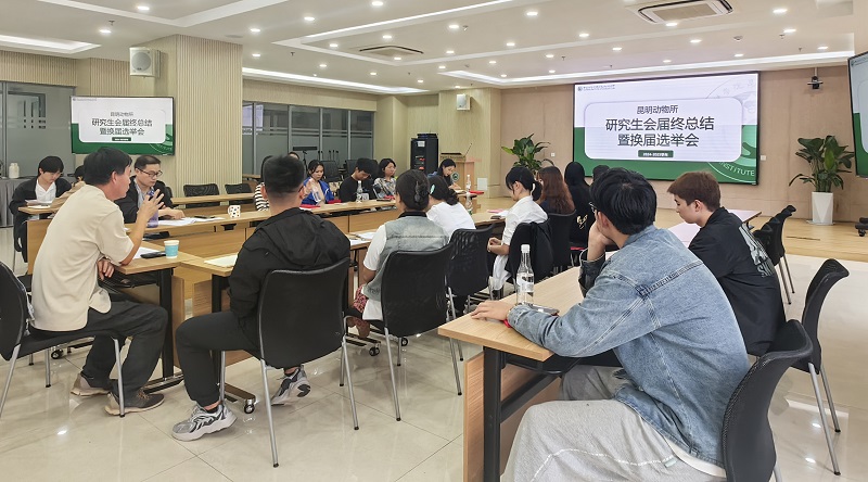 电子游戏app下载安装