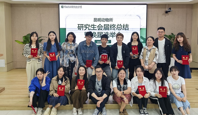 电子游戏app下载安装