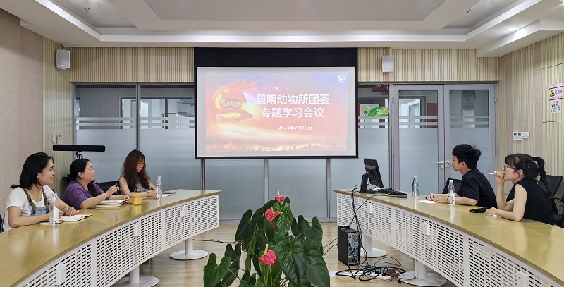 电子游戏app下载安装