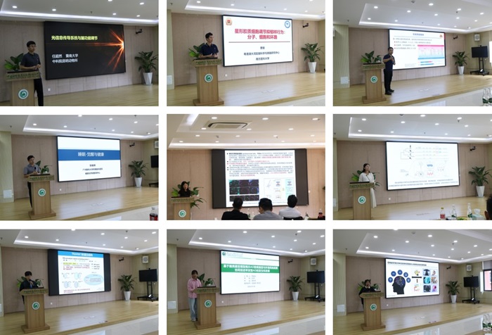 电子游戏app下载安装