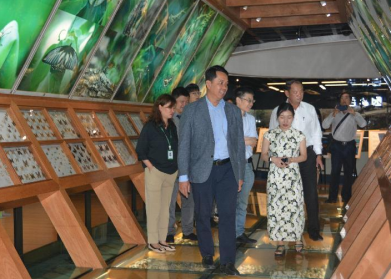 电子游戏app下载安装