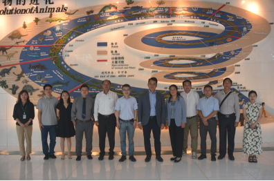 电子游戏app下载安装