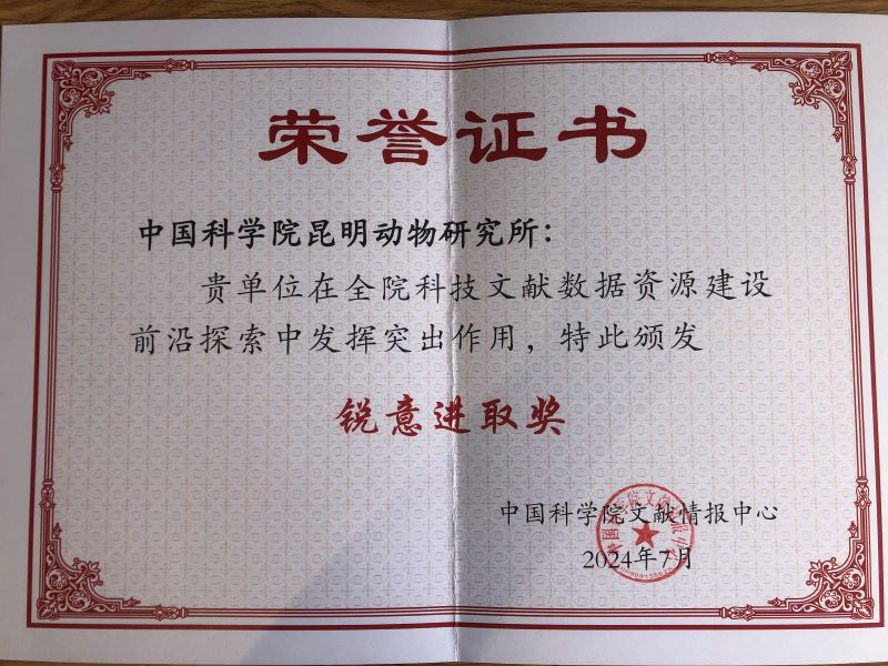 电子游戏app下载安装