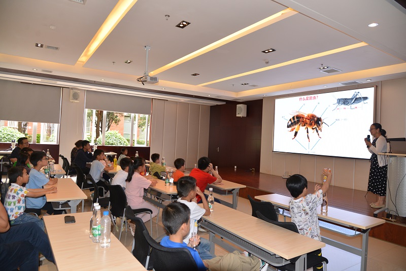 电子游戏app下载安装