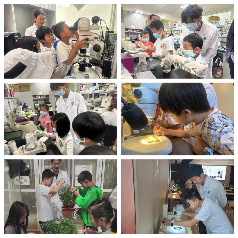 电子游戏app下载安装