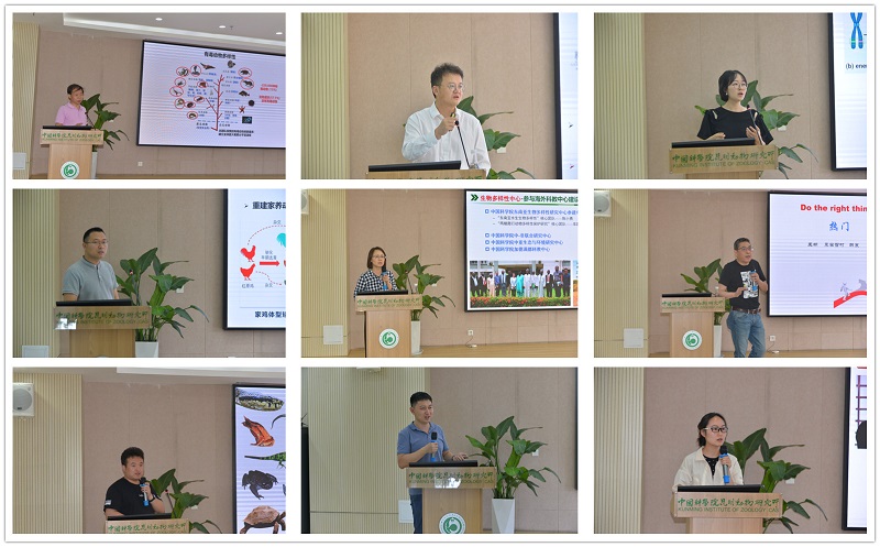 电子游戏app下载安装