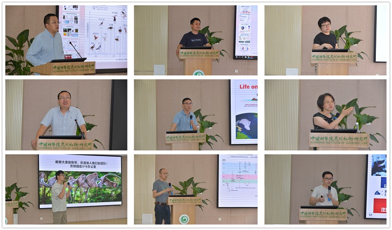 电子游戏app下载安装