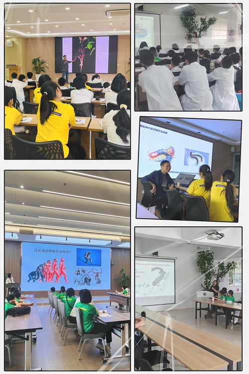 电子游戏app下载安装