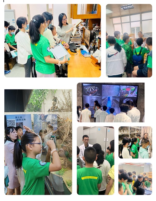 电子游戏app下载安装