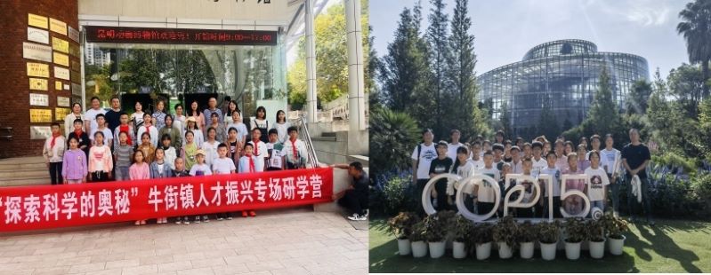 电子游戏app下载安装