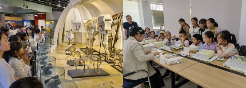 电子游戏app下载安装