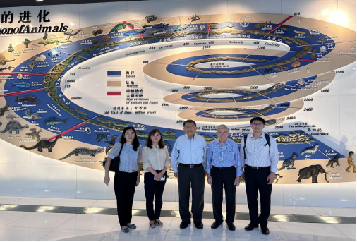 电子游戏app下载安装